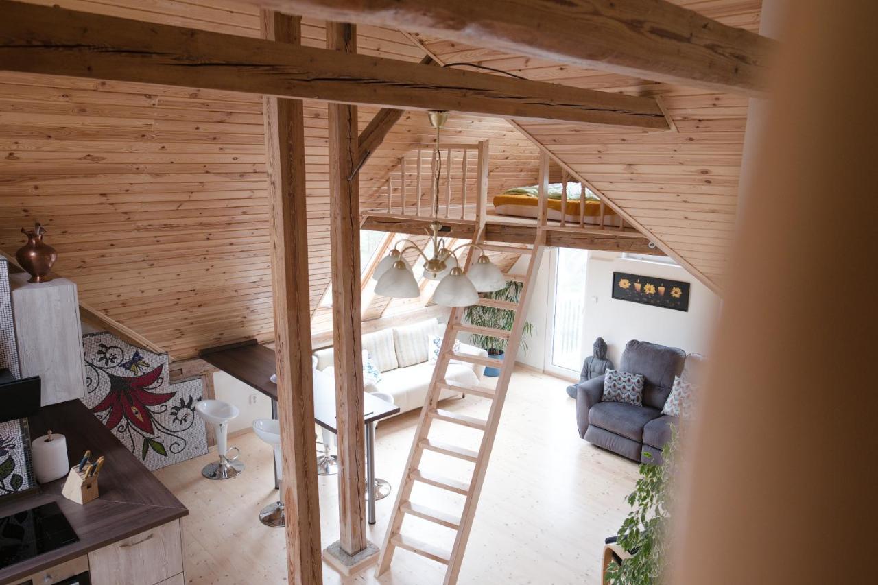 Art-House 3 Attic Apartment With Terrace Decin Exteriér fotografie