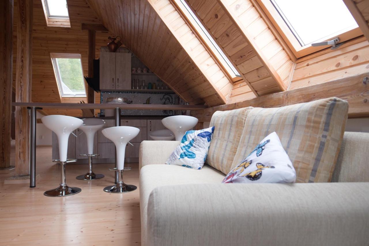 Art-House 3 Attic Apartment With Terrace Decin Exteriér fotografie